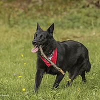 2014-09-27 15-20-22-2