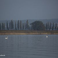 2014-10-03 18-06-52
