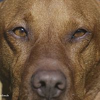 2014-10-18 13-37-20
