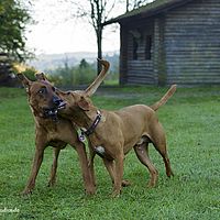 2014-10-18 17-03-13-2