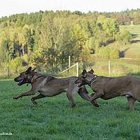 2014-10-18 17-07-52