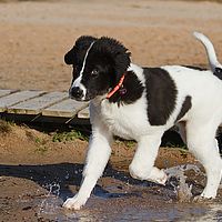2013-02-10 12-59-25-4