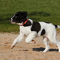 2013-02-10 13-01-59