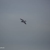 2014-10-25 09-26-21