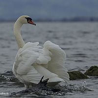 2014-10-25 09-43-35