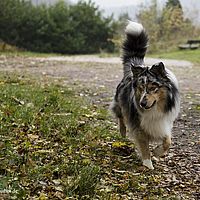 2014-11-15 10-04-57