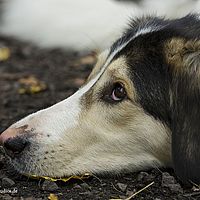 2014-11-15 11-51-31