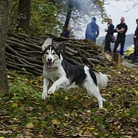 2014-11-15 12-38-26-5