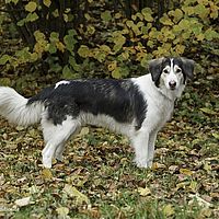 2014-11-15 12-39-13-2