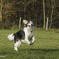 2014-11-15 14-02-58