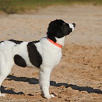 2013-02-10 13-06-46