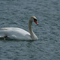 2013-06-02 13-38-38