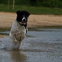 2013-06-02 13-38-51-1