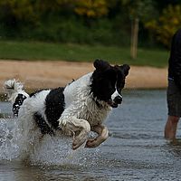 2013-06-02 13-38-52-2