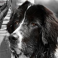 2013-06-02 13-45-49