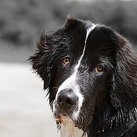 2013-06-02 13-46-37