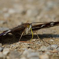 2013-07-06 09-18-08