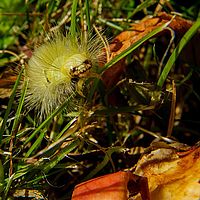 2013-10-03 12-34-43
