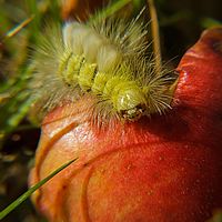 2013-10-03 12-37-24