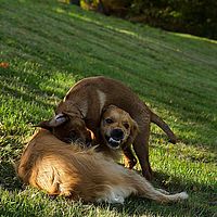 2013-10-19 15-08-38-7