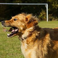 2013-10-19 15-13-08