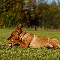2013-10-19 15-21-26