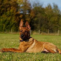 2013-10-19 15-21-33-6