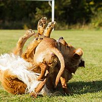 2013-10-19 15-22-03