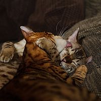 2013-12-27 17-59-55