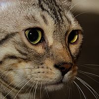2013-12-27 18-04-06-2