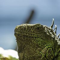 2014-11-23 13-36-52-2