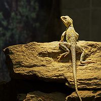 2014-11-23 13-44-25