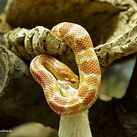 2014-11-23 13-51-18