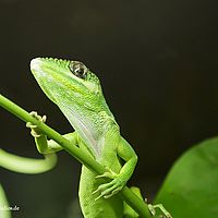 2014-11-23 14-03-18