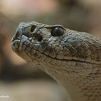 2014-11-23 14-05-02