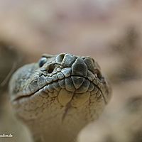 2014-11-23 14-05-10