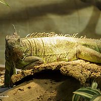 2014-11-23 14-09-00
