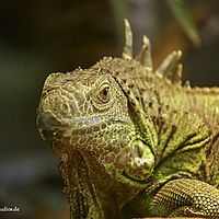 2014-11-23 14-10-12