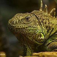 2014-11-23 14-10-16