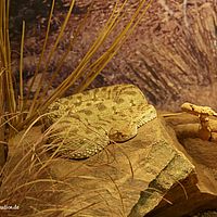 2014-11-23 14-31-26