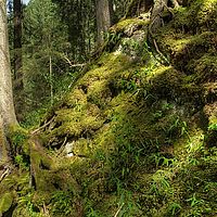2013-07-28 16-26-54 hdr