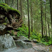 2013-07-28 18-50-36