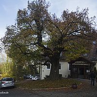 2014-11-02 13-56-13