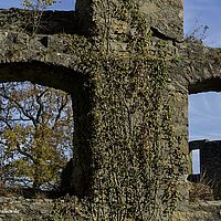 2014-11-02 14-37-08