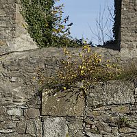 2014-11-02 14-55-44