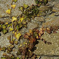 2014-11-02 15-02-13
