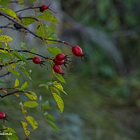 2014-11-02 15-09-51