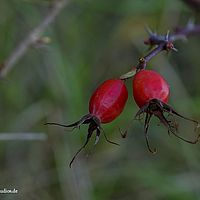 2014-11-02 15-10-02