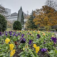 2014-11-22 11-11-49 hdr