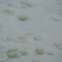 2014-11-22 11-15-25-7